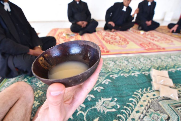 Where to Try Kava in Tonga 🌿