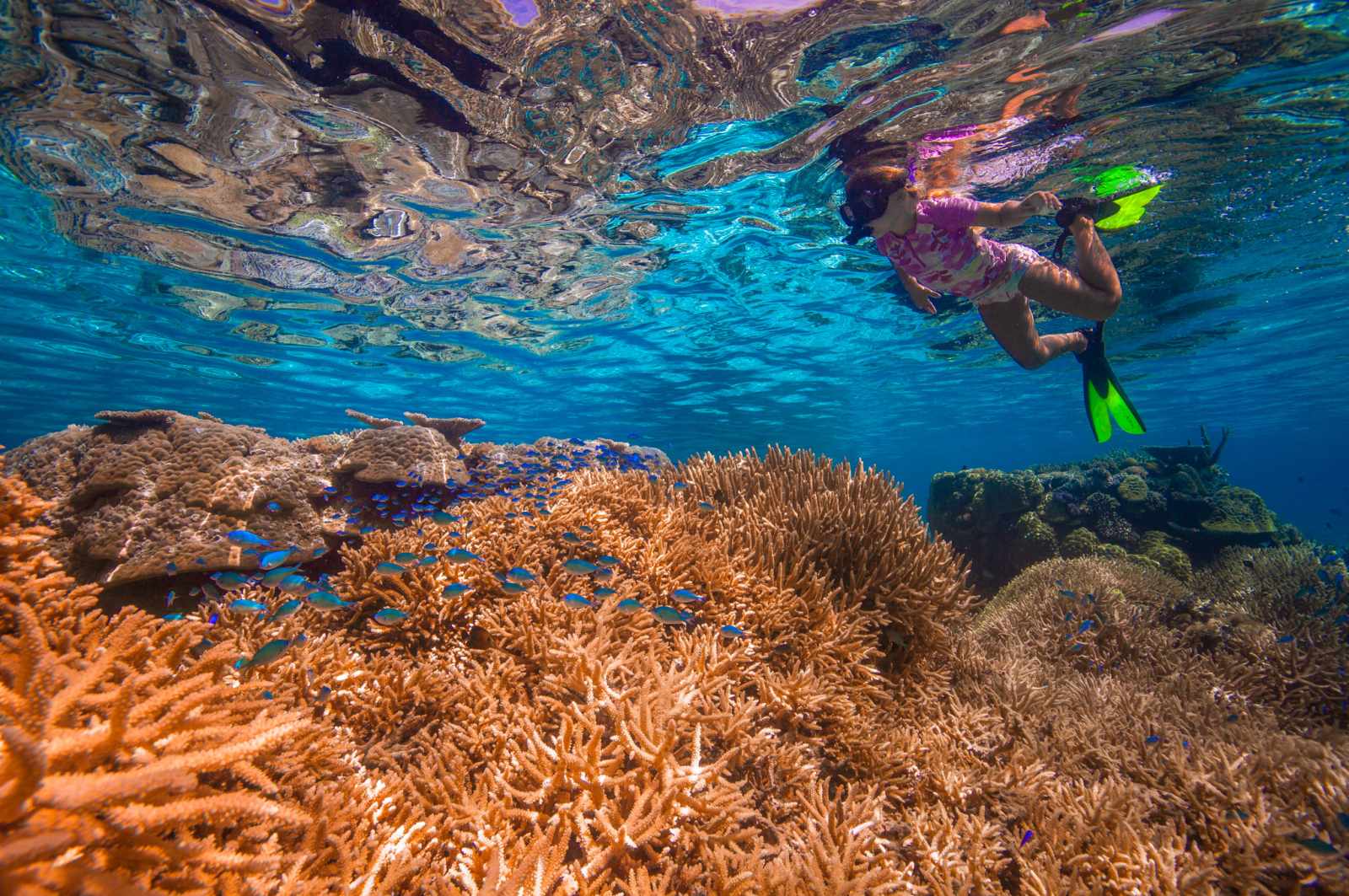 5 Best Places to Snorkel in Ha'apai