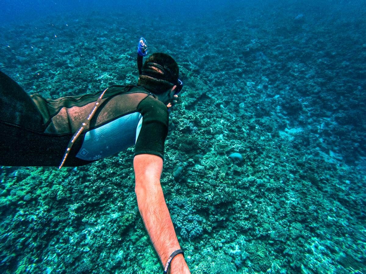 The Guide to Snorkelling in Tonga 🤿