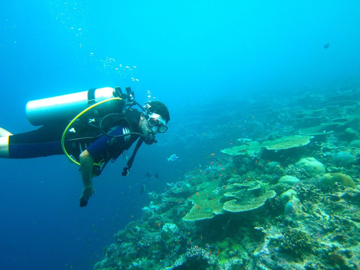 7 Best Scuba Diving Tours in Vava’u